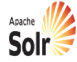 Apache_Solr_logo-open-source-company-in-india